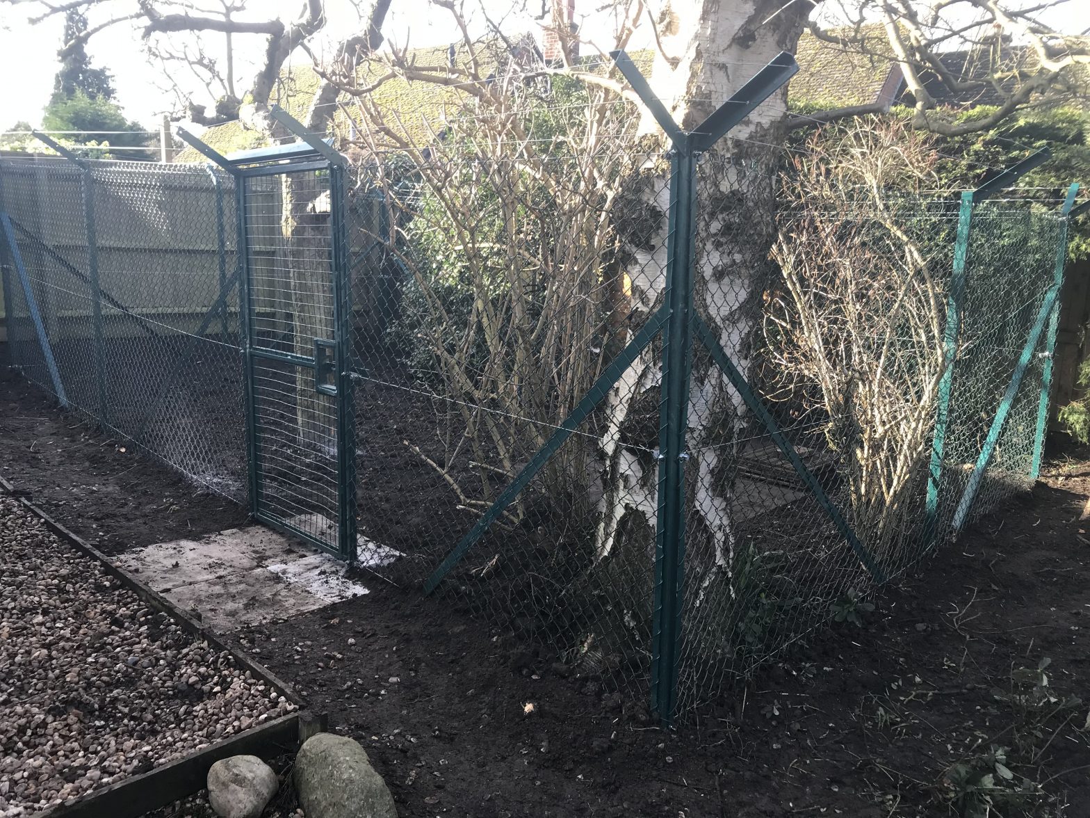 fox proof chicken fencing enclosure