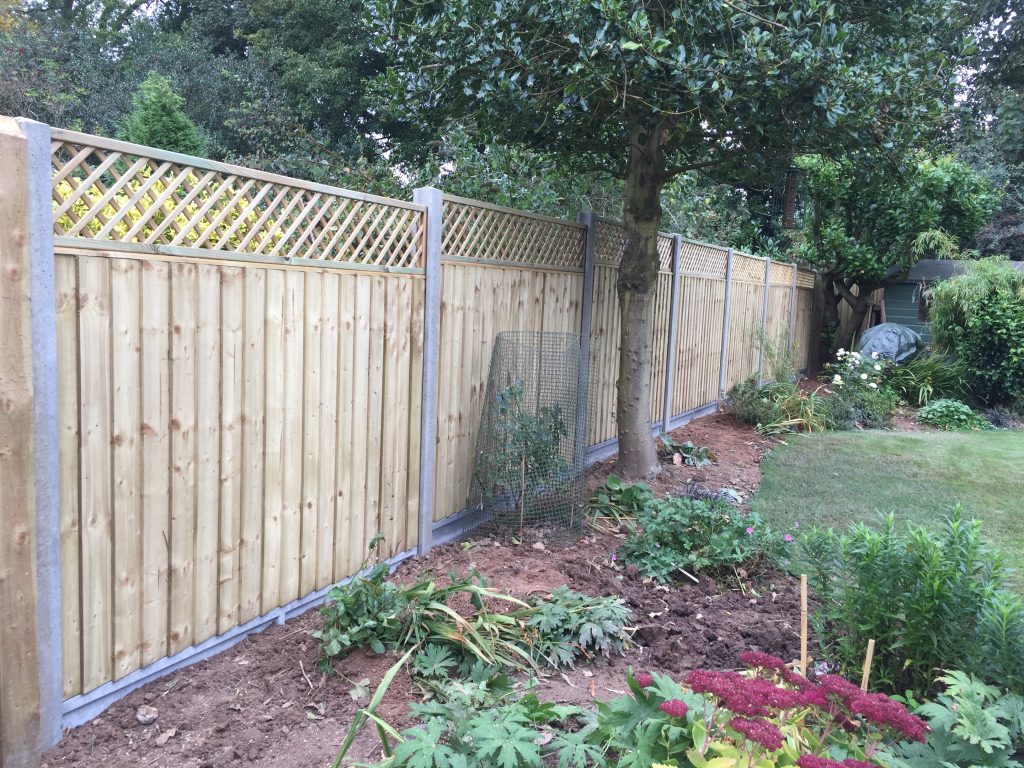 Feather edge fence panels with flat top diamond trellis & concrete posts.