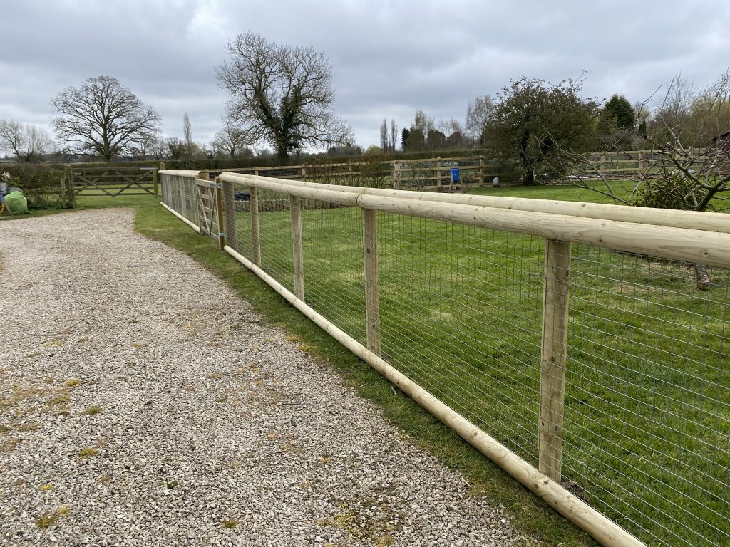 Dog proof fencing