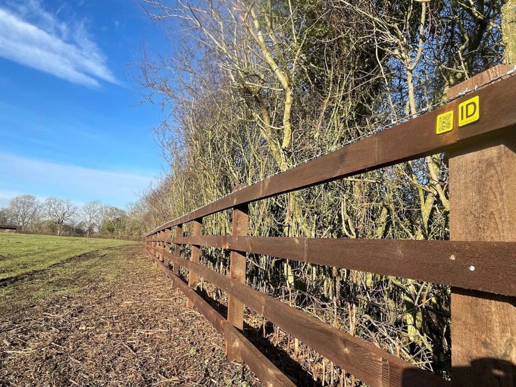 Creosoted post and rail with barbed wire top